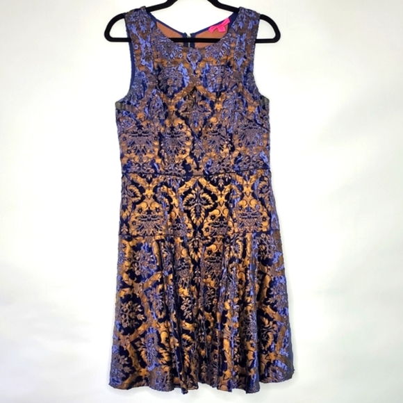 Betsey Johnson Velvet Burnout Dress Size 10 Fit and Flare Vintage Whimsigoth - Picture 1 of 14